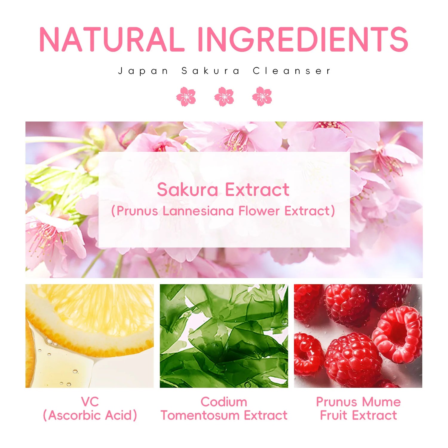 LAIKOU Nettoyant Visage Japon Sakura 50g